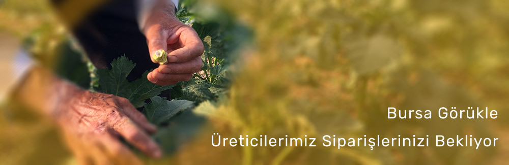bursa-gorukle-ureticileri