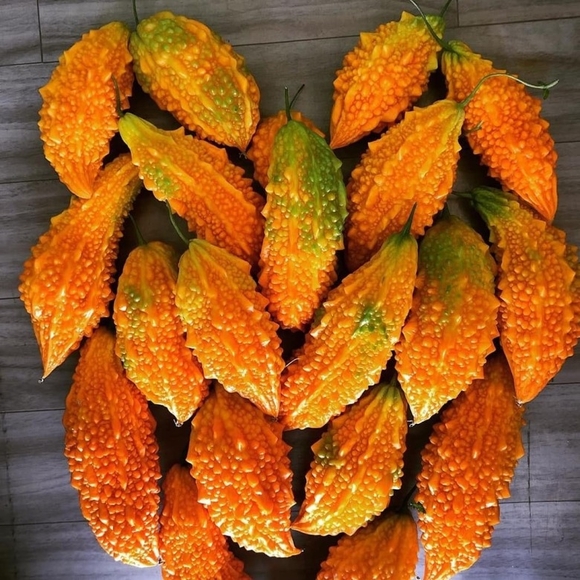 KUDRET NARI